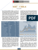 RCB Chile - Anual 2020