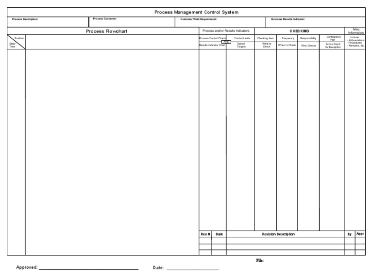 Process MGMT Control System Template | PDF