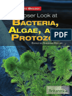 Closer Look at Bacteria, Algae, And Protozoa (Gnv64)
