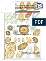 Balantidiasis