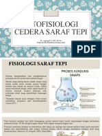 Patofisiologi Cedera Saraf Tepi