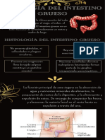 Fisiología Del Intestino Grueso