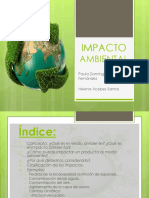 Impactoambientalpauladomnguezyhelenaacebes 150221050108 Conversion Gate01