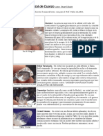 Creencias Sobre El Cristal de Cuarzo - Stuart Schmitt - PDF Versión 1
