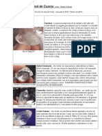 Cristales de Cuarzo: Propiedades y Creencias