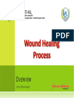 Wound Healing Process