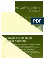 Descubrimiento estructura ADN