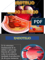Endotelio y Oxido Nitrico, Farmacologia