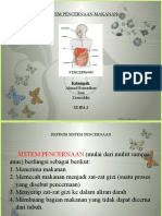 Sistem Pencernaan Pada Manusia (11 IPA 2) MAN 6 Jakarta