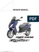 Citystar 125i Workshop Manual