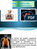 Función y estructura del aparato respiratorio