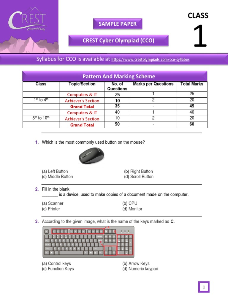 CCO Sample Papers For Class 1 | PDF | Image Scanner | Input/Output