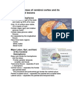 Functional Areas of Cerebral Cortex and Its Associated Lesions