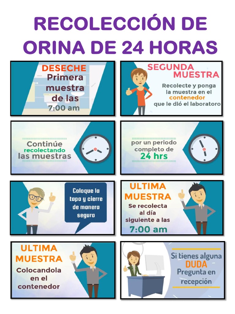 Recolección de Orina de 24 Horas | PDF