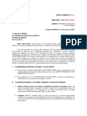 Acusacion Coadyuvante  | PDF | Derecho penal | México