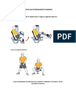 Rutina de Entrenamiento Biseries