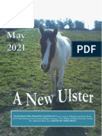 A New Ulster 103