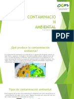Contaminacionambiental 170218012130