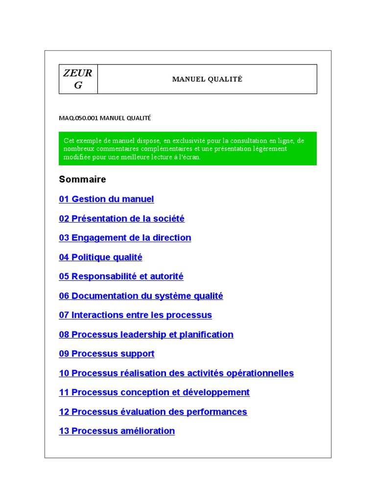 Manuel Qualité ISO 9001 ZEURG | PDF | Management de la qualité | Audit