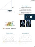 Sistema Linfático