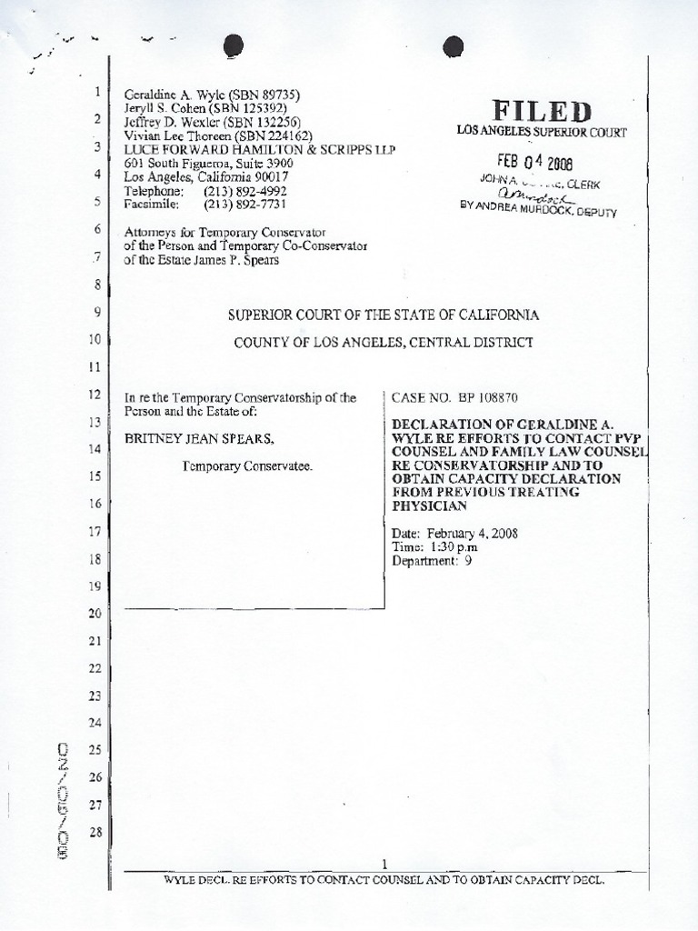 Geraldine Wyle Initial Statement PDF