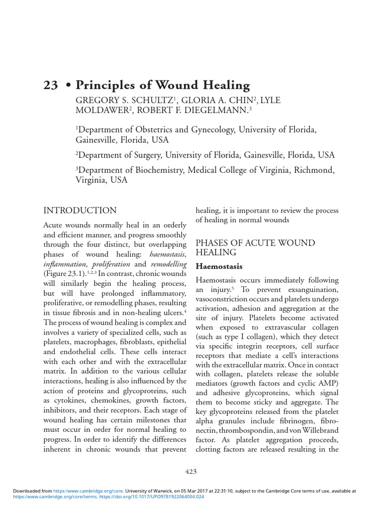 Principles of Wound Healing | PDF | Wound Healing | Extracellular Matrix