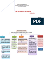 Unidad I Naturaleza Del Supervisor