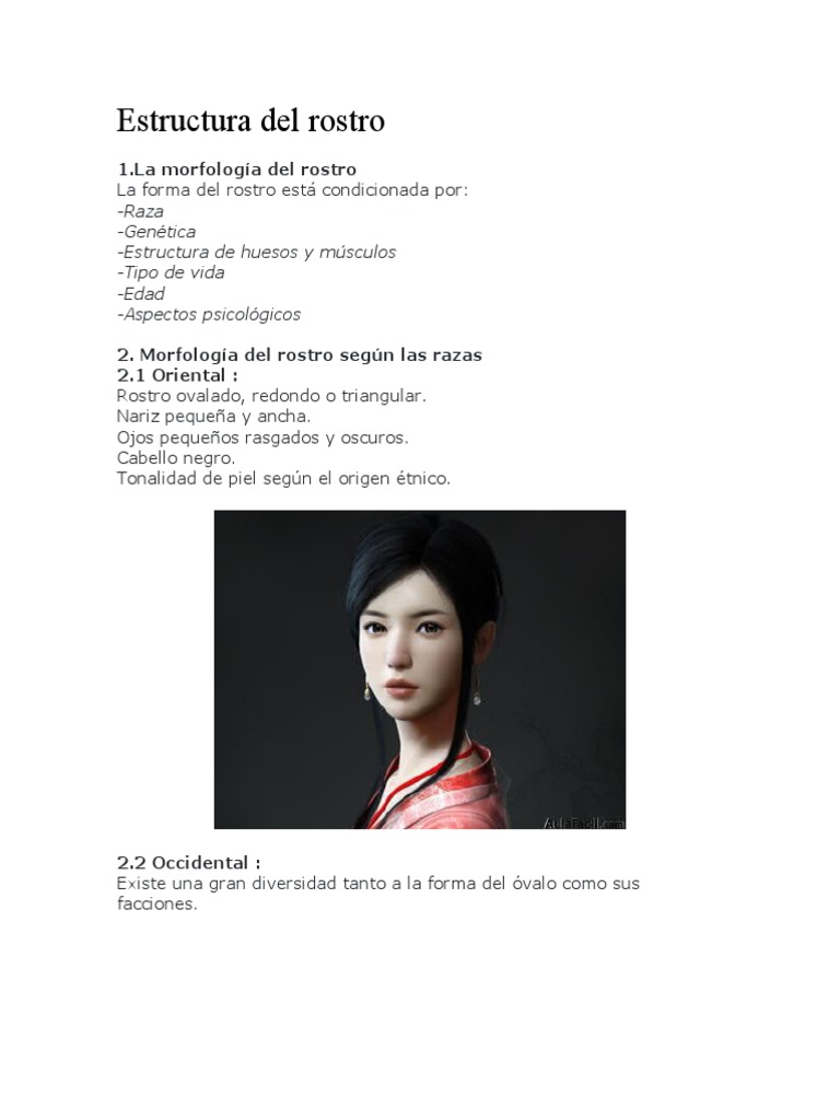 Morfología y Proporciones Faciales | PDF