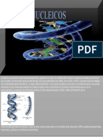 Acidos Nucleicos