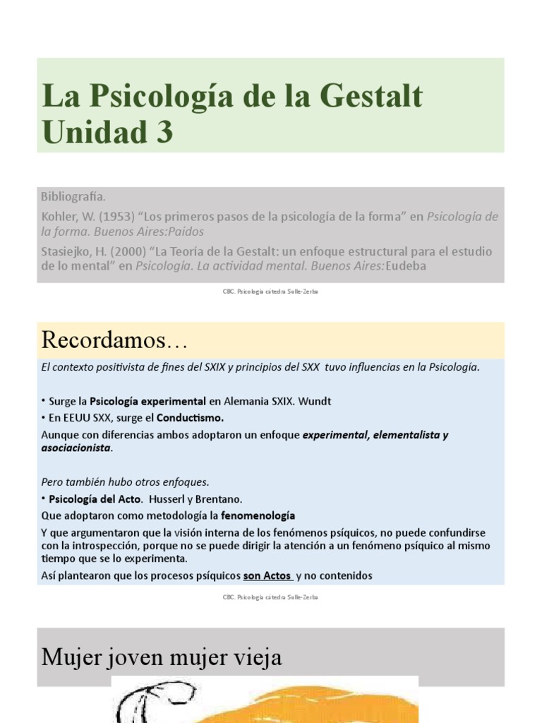 Psicología de La Gestalt | PDF | Percepción | Sicología
