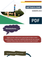 Metabolisme