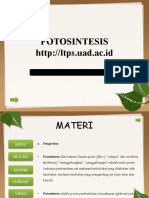 PPT FOTOSINTESIS