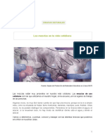 Primario 2dociclo5grado Cienciasnaturales-III PDF