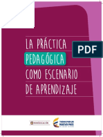 Practica Pedagogica Como Escenario