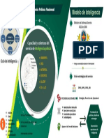 Infografia Inteligencia Ponal