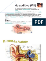 Función y estructura del nervio vestíbulococlear