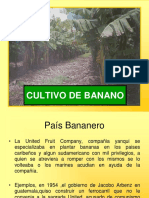 El Cultivo de Banano en Guatemala 2009 66 p