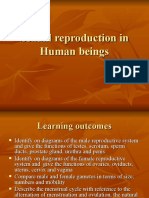 Sexual Reproduction in Human Beings (Part 1)