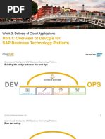 Unit 1: Overview of Devops For Sap Business Technology Platform