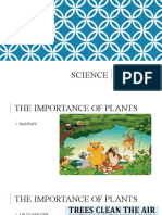 Science: Unit 5 Plants BY Teacher Dyana