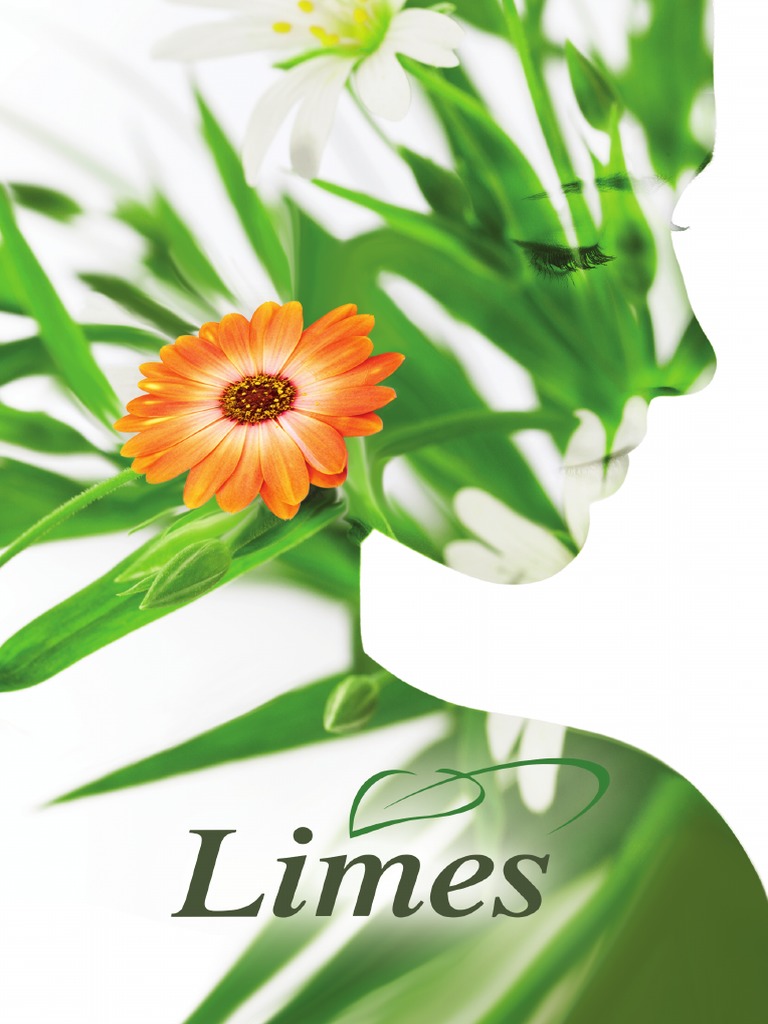 Limes Katalog 2021 Srbija PDF