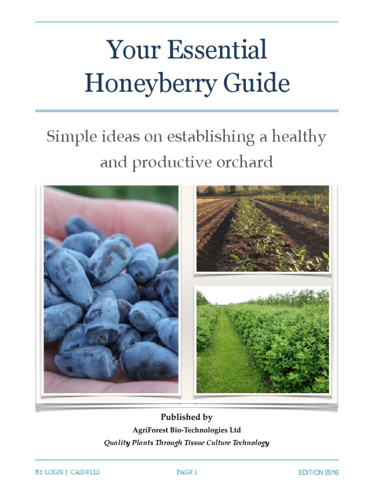 Essential Honeyberry Guide Summary PDF Berry Blueberry