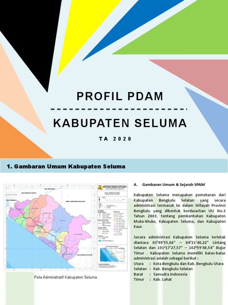 Profil PDAM Seluma 2020 | PDF