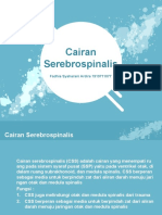 Cairan Serebrospinalis