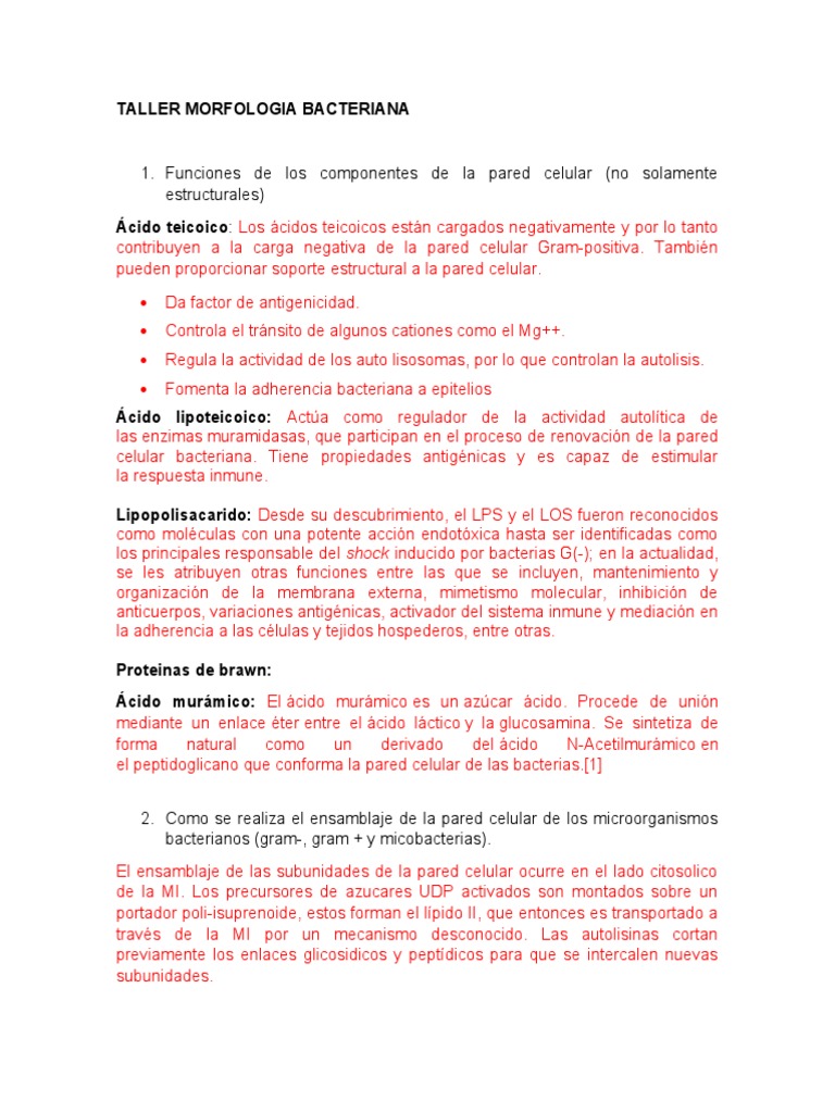 Funciones y Estructura de la Pared Celular Bacteriana | PDF | Las ...