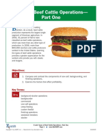 Types of Beef Cattle Operations