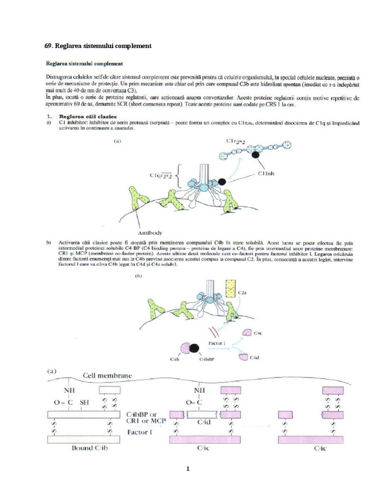 Reglarea Sistemului Complement | PDF