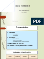 Clase Catorce Helminots y Cestodes 2015