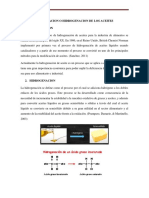 Tema 2 HIDROGENACION DE ACEITE Conv PDF