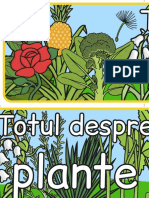 RO-T-T-8801-Plants-Display-Banner-Romanian